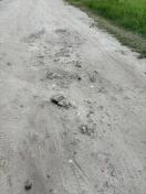 Foto: Steine ragen aus Sandboden heraus 