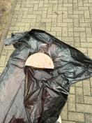 Foto: Erneut Giftköder im Buschwiesenkarree 