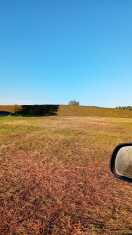 Neuruppin: Grassilage auf unbefestigten Flächen   Foto: Grassilage auf unbefestigten Flächen