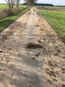 Foto: Verunreinigung Radweg Nietwerder-Wulkow 