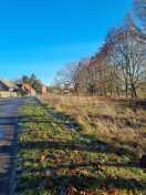 Foto: Wiese wurde dieses Jahr noch nicht einmal gemäht 