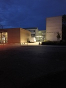 Foto: Parten auf dem Bürgersteig? 