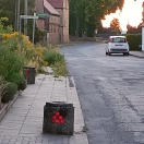 Foto: Hoher Unkrautbewuchs auf Gehweg  
