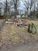 Foto: Illegale Entsorgung  