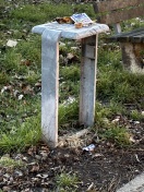 Foto: Fehlender Mülleimer  