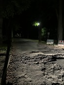 Foto: Lindenallee - starke Straßenschäden  