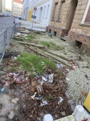 Foto: Ständige Müllansammlung /Dreckiger Fußweg / Versperrter Wasserablauf  