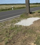 Foto: selbst erstellte Zufahrt mit Zierkies 