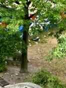 Foto: Abfall ohne Ende 