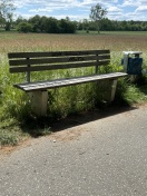 Foto: Zuwucherung Sitzbänke  