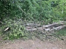 Foto: Weg versperrt  