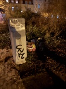 Foto: Illegal Müll abgeladen 