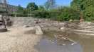 Foto: Laufendes Wasser 