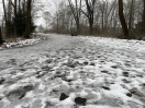 Foto: Vereister Weg durch den Park 