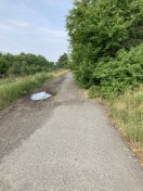 Foto: Milchstraße  