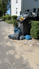 Foto: Müllentsorgung auf Gehweg/Fahrbahn 