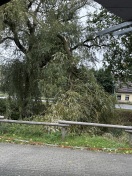 Foto: Großer Ast abgebrochen Bereich Dorfteich 