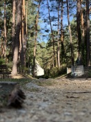 Foto: Unfallgefahr auf dem Waldfriedhof vor der grünen Wiese 