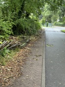 Foto: Zaun umgefallen 