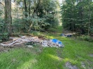 Foto: Wilde Deponie 