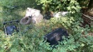 Foto: Illegal Müll im Wald 