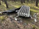Foto: Asbest und Dachpappe im Wald 