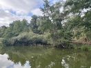 Foto: Umgestürzte Baum im Emster Kanal 