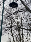 Foto: Laterne defekt  