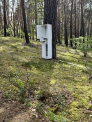 Foto: Weißer Schrank und 4 Reifen im Wald abgelgt 