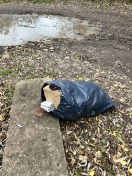 Foto: voller Müllsack 