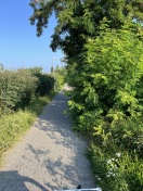 Foto: Lichtraumprofil eingeschränkt 