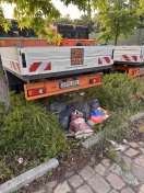 Foto: Wilde Deponie  