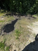 Foto: Verstopfung Abwasser  