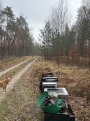 Foto: Abgestellte Fernseher im Wald  