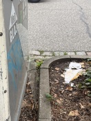 Foto: Glasmüll 