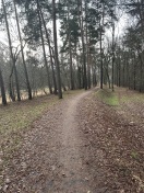 Foto: Unfallgefahr/ Verkehrssicherungspflicht !? 