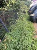 Foto: Parkplätze Bergstrasse 