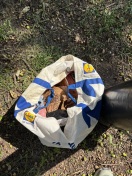 Foto: Illegale Müllentsorgung Kolonie Sonnenblick 