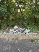 Foto: Wilde Deponie  