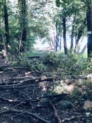 Foto: Weg zum Havelufer 
