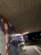 Foto: Lampe in Unterführung Bahnhof Golm defekt 