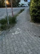 Foto: Gehweg wuchert und Bordstein wuchert zu schon Monate . 