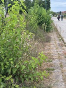 Foto: Gehweg nicht nutzbar  