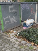 Foto: Müll an den Glascontainern und sämtliche Grünflächen ringsherum  