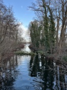 Foto: Umgestürzter Baum 