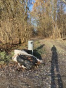 Foto: Müll an Buswendeschleife , schwarzer Weg Waldrand  