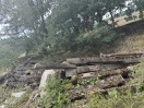 Foto: Alte Betonschwellen und Betonplatten im Wald 