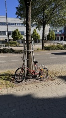 Foto: Kaputtes Fahrrad (Schrott) 