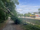 Foto: Sturmschaden  