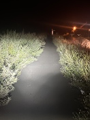 Rüdersdorf bei Berlin: Fahrradweg  Foto: Fahrradweg